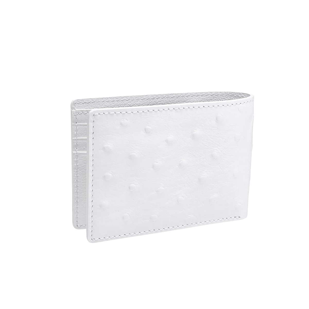 جلد الجمل / طبعة النعام