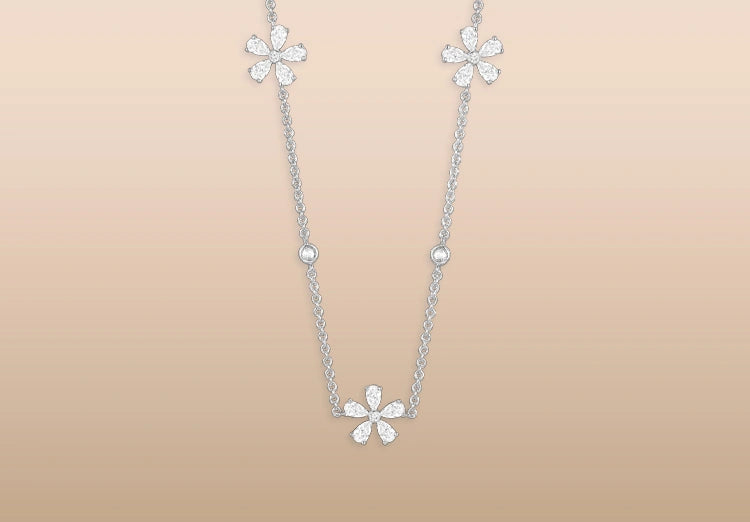 Daisy_Flower_237a20f7-dd78-480a-aba1-cdc3f680c974