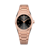 ڤـيلڤيت روز