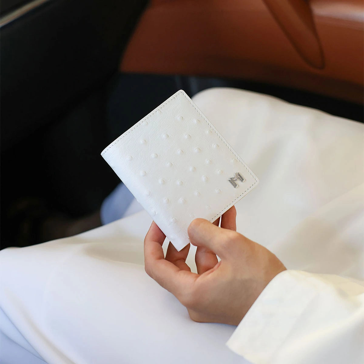 جلد الجمل / طبعة النعام