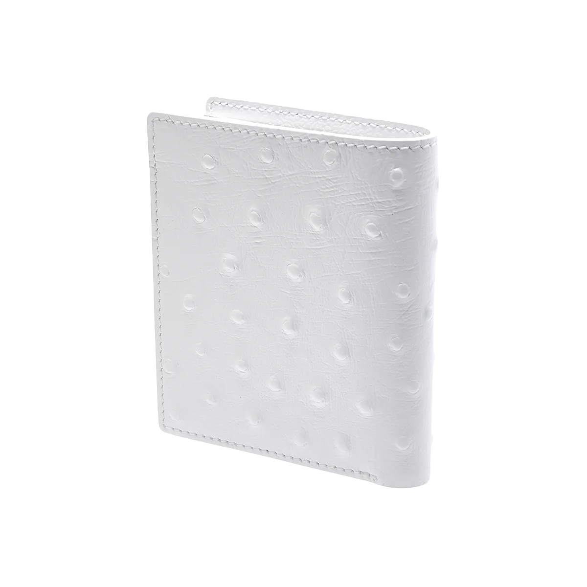 جلد الجمل / طبعة النعام