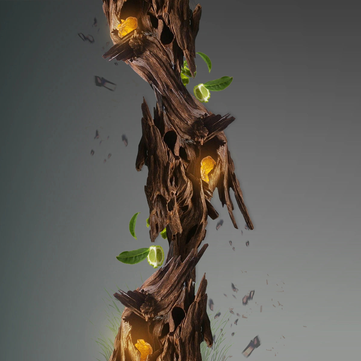 بالازو عود - عطر