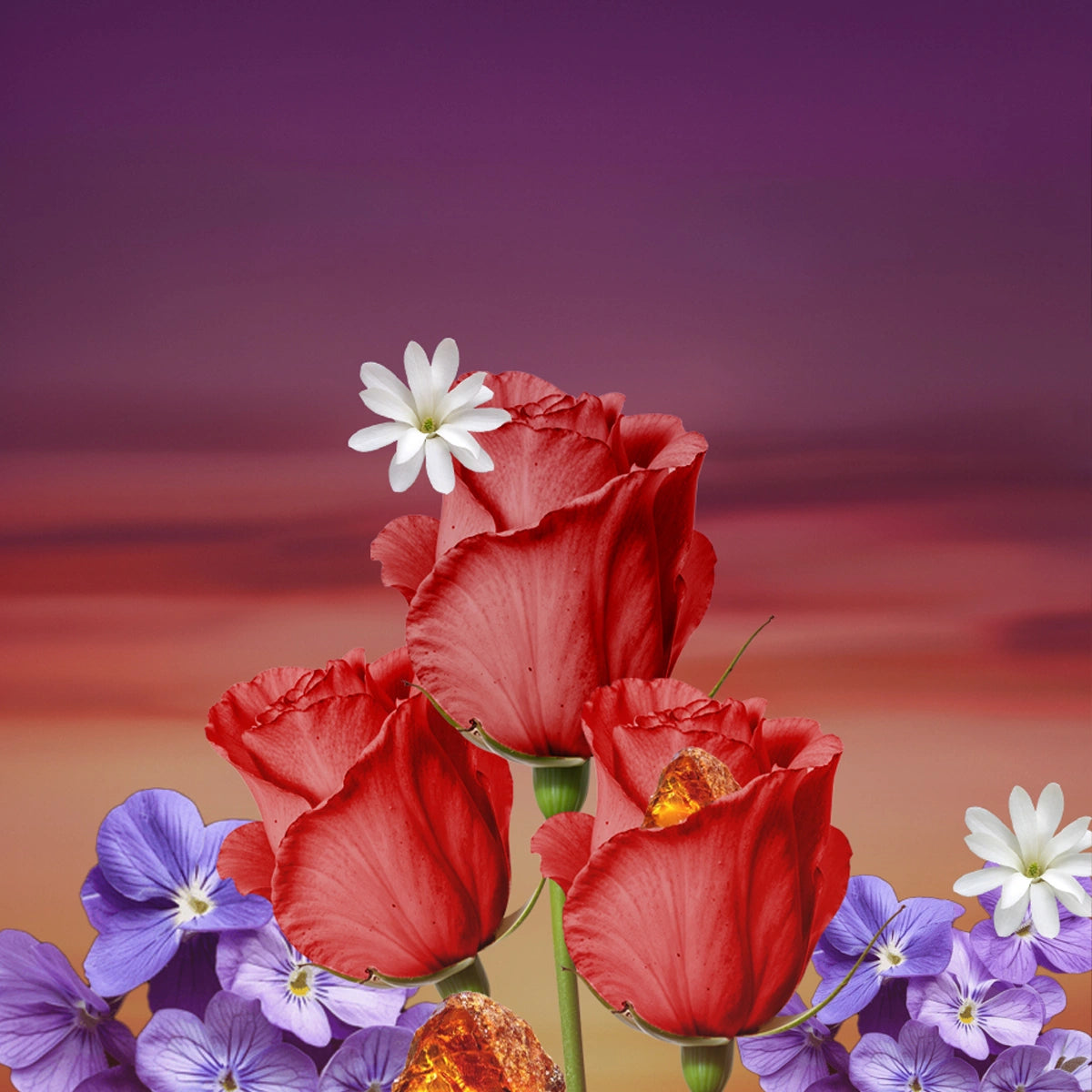 عطر - سيكرت روز