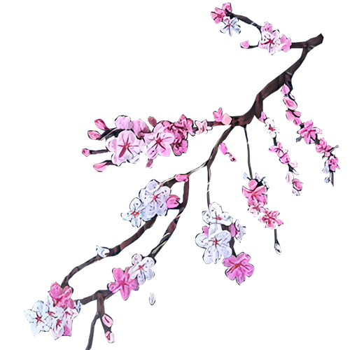 شنطة اليد حصة