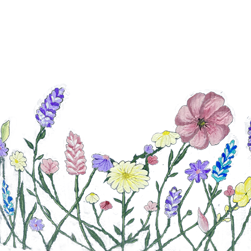 شنطة اليد اليازية